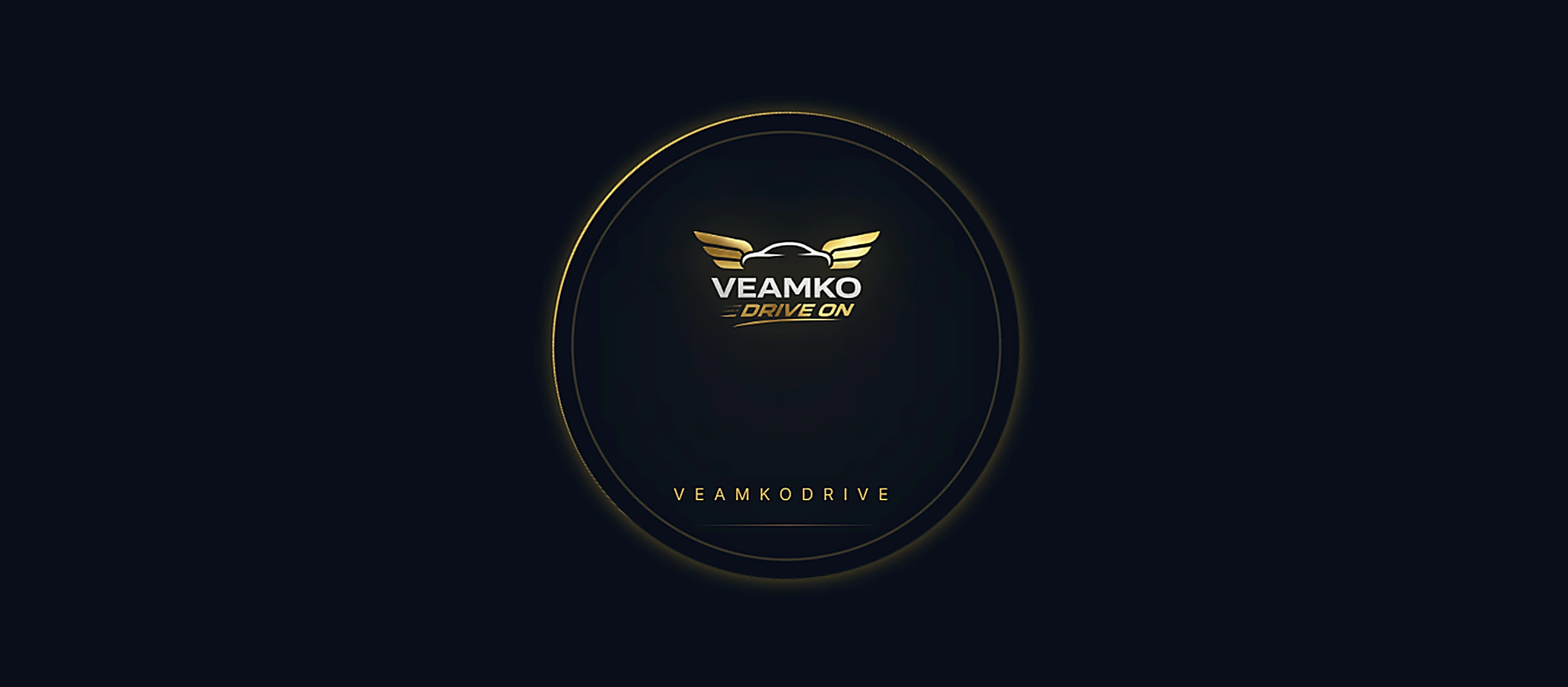 Veamkodrive main screenshot